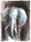 Print - Elefant no5