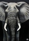 Print - Elefant
